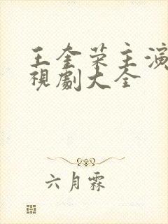 王奎荣主演的电视剧大全