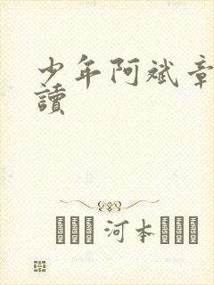 少年阿斌章节阅读