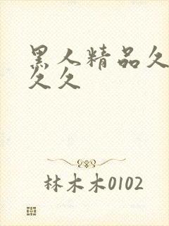 黑人精品久久久久久