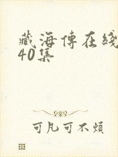 藏海传在线观看40集