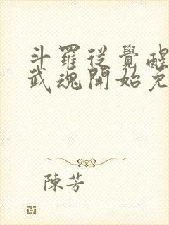 斗罗从觉醒朱雀武魂开始免费阅读