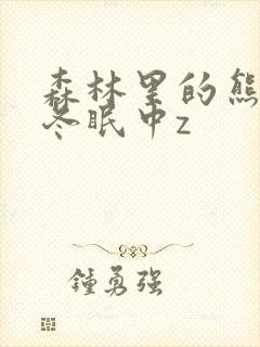 森林里的熊先生冬眠中z