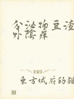 分泌物豆渣状,外阴痒封面