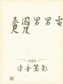 泰国男男电影大尺度封面