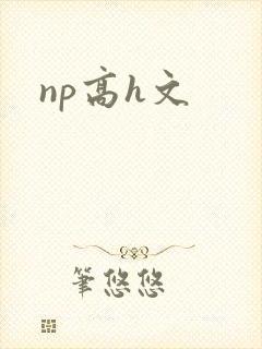 np高h文