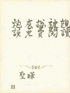 炮灰总被觊觎小说免费阅读