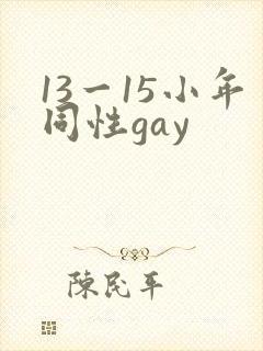 13一15小年同性gay