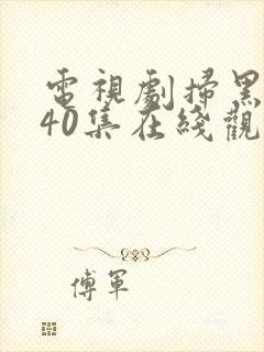 电视剧扫黑风暴40集在线观看免费完整版