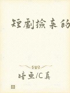 短剧捡来的总裁