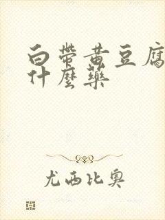 白带黄豆腐渣用什么药