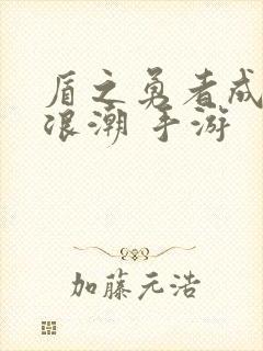 盾之勇者成名录浪潮 手游