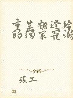 重生相逢给你我的独家宠溺免费观看封面