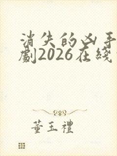 消失的凶手电视剧2026在线观看