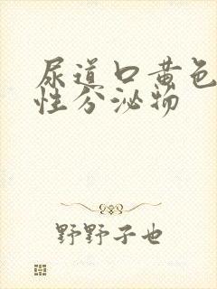 尿道口黄色液体性分泌物