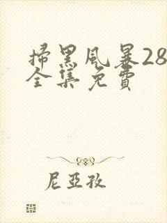 扫黑风暴28集全集免费