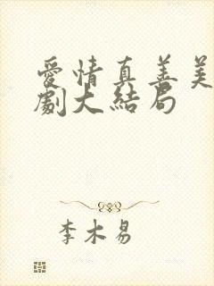 爱情真善美电视剧大结局