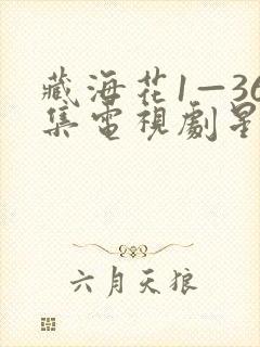 藏海花1—36集电视剧星空
