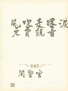 风吹走眼泪短剧免费观看封面