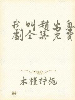 我叫赵出息电视剧全集免费