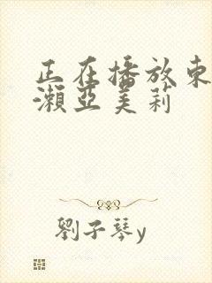 正在播放东京热濑亚美莉