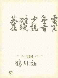 英雄少年电视剧在线观看完整版