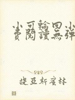 小可轮回小说免费阅读无弹窗