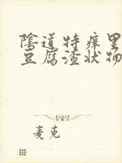 阴道特痒里面有豆腐渣状物