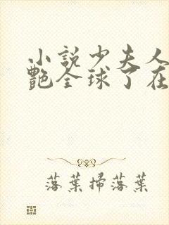 小说少夫人她惊艳全球了在线阅读