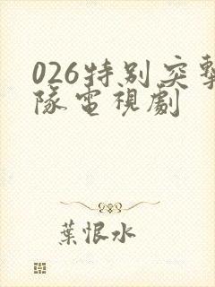 026特别突击队电视剧
