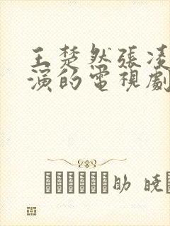 王楚然张凌赫主演的电视剧开播了吗封面