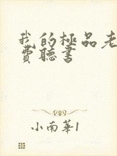 我的极品老婆免费听书