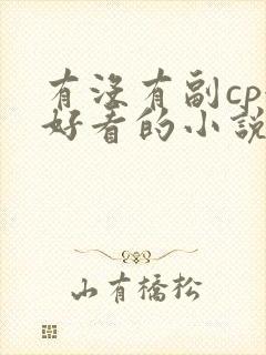 有没有副cp很好看的小说总裁文