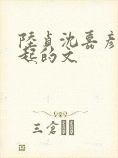 陆贞沈嘉彦在一起的文