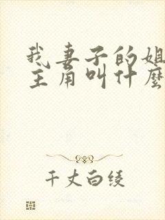 我妻子的姐姐女主角叫什么