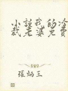 小说我的冷艳总裁老婆免费阅读