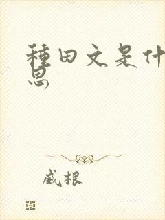 种田文是什么意思封面