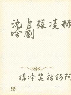 沈月张凌赫拍的啥剧封面