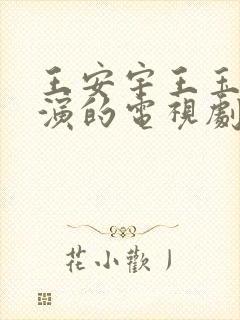 王安宇王玉雯主演的电视剧