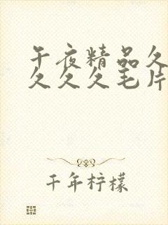 午夜精品久久久久久久毛片