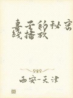 妻子的秘密 在线播放