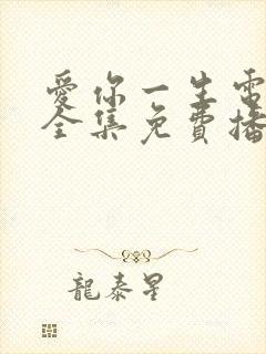 爱你一生电视剧全集免费播放高清