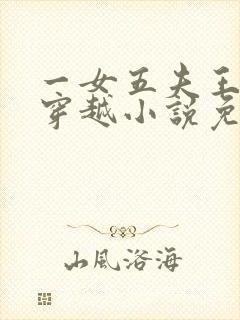 一女五夫王二妮穿越小说免费阅读封面