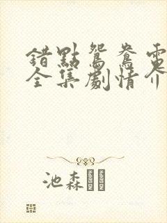 错点鸳鸯电视剧全集剧情介绍封面