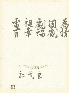 电视剧因为爱情有幸福剧情介绍封面