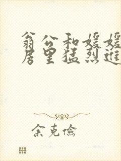 翁公和媛媛在厨房里猛烈进出