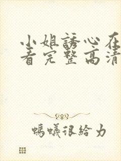 小姐诱心在线观看完整高清bd封面