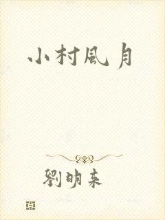 小村风月封面