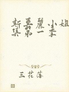 斯嘉丽小姐探案集第一季封面