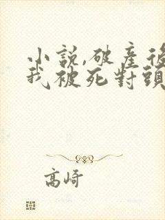 小说,破产后,我被死对头宠上天