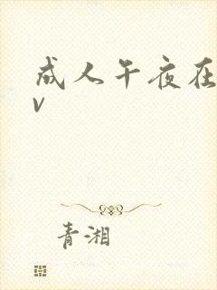 成人午夜在线av